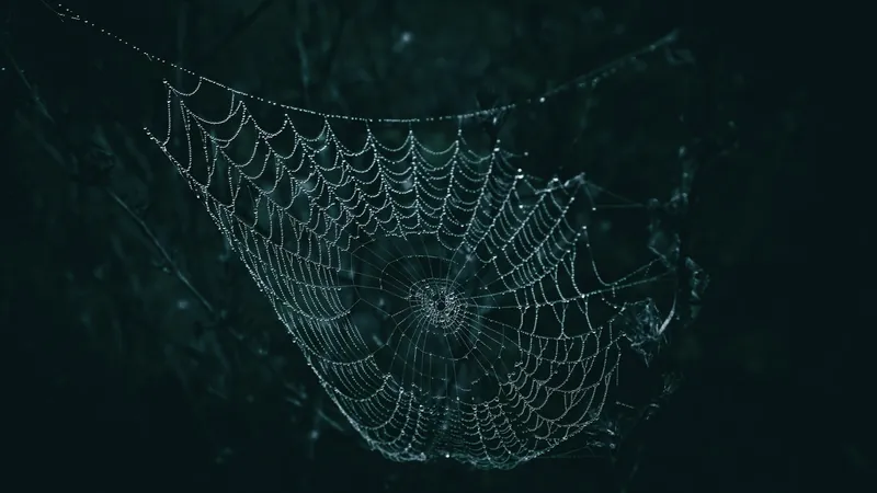 Toile d'araignée constellée de gouttes de rosée sur fond noir
